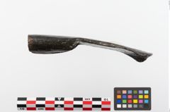 Foto von Eisendechsel (NHMW-PRAE-023817)